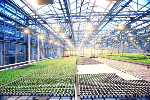 Indoor Agriculture